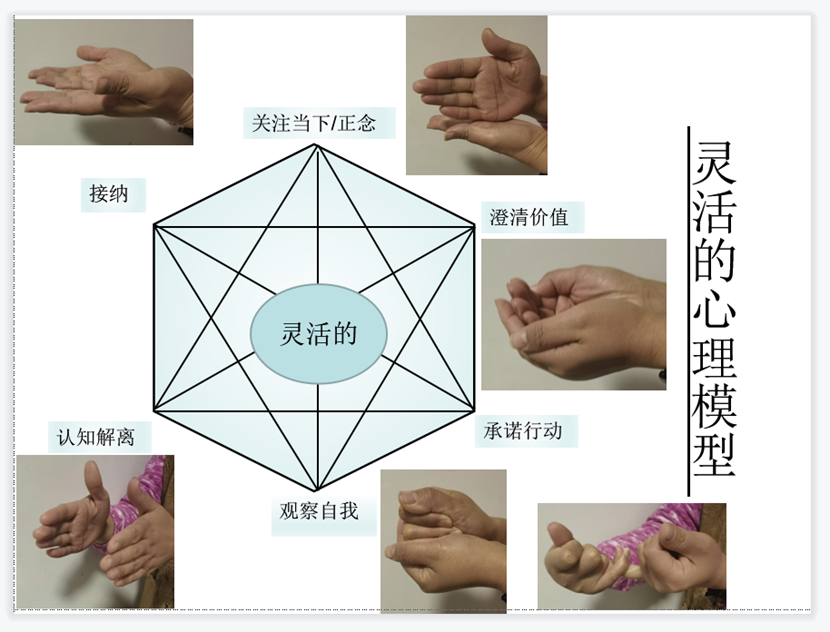 心理健康科普｜如何保持正常的灵活的心理状态？